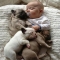 Baby Snuggle - Adorable Dog Pics