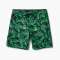 Beach Palms 18'' Swimmer Boardshorts - Boardshorts