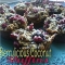 Berrylicious Coconut Muffins - Paleo and Healthy Recipes