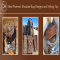 Best Women’s Shoulder Bag Designs and Styling Tips - Heels N Spurs - Heels N Spurs