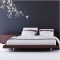 Blossom Vines and Flying Birds Wall Decals