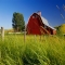 Classic Barn - Barns