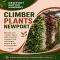 Climber Plants Newport – Beautiful Vines for Every Garden - Native Nursery
