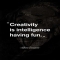 Creativity is intelligence having fun. - Albert Einstein