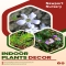 Elevate Your Home: Best Indoor Plant Decor Ideas - Native Nursery