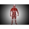 Flesh Muscle Man Lycra Multi-Color Zentai Suit -  Attack On Titan costumes