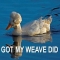 Got my Weave Did - I busted my gut laughing