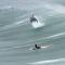 Great photo of a dolphin surfing with surfer - Beautiful ocean