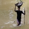 Heroic villager saves numerous stray cats during massive floods in Cuttack City, India - Amazing photos