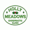 Holly Meadows Chiropractic Clinic - Healthy Ideas