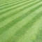 How to put stripes in your lawn when you cut the grass