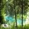 Ichetucknee Springs State Park - Fort White Florida - I will travel there