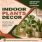 Indoor Plants Decor Ideas for a Fresh and Stylish Home - Native Nursery