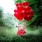 Kids birthday photography - Photo ideas