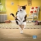 kissan hiekka mainos - Funny ads