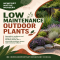 Low Maintenance Outdoor Plants for Beautiful Landscapes - Native Nursery