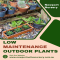 Low Maintenance Outdoor Plants - Newport Native Nursery - Native Nursery