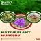 Native plant nursery in Melbourne - Native Nursery