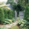 Natural Privacy Screen Ideas