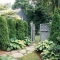 Natural Privacy Screen Ideas - Backyard Ideas