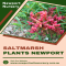Garden Decor Accessories Newport - Native Nursery