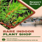 Newport Native Nursery - Native Nursery