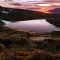 Northern Norway in Late Summer (photograph)