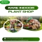 Rare Indoor Plant Shop - Newport Native Nursery - Native Nursery