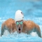 USA's Ryan Lochte wins Gold at 2012 Olympics