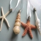 Seashell Ornaments - Christmas