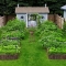 Small yard, magical garden - Magical Gardens