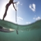 Stand Up Paddleboarding (SUP) in the clear waters of Hawaii - SUP - Stand Up Paddleboarding
