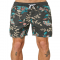 Sweeney Beach Shorts - Boardshorts