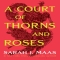 The Fantasy Romance That Created a Generation of Readers: A Court of Thorns and Roses - Books to read
