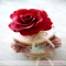 Cupcake - Dessert Recipes