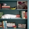 Baby asleep on bookshelf