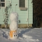 Snowman doing a handstand - Funny things in the snow