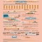 24 hours of the Internet - An infographic