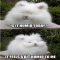 Is it Humid Today? - Funny Things