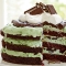 Mint Chocolate Chip Ice-Cream Cake - Dessert Recipes