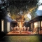 Wooden deck around tree - Re faved Pics