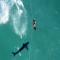 Kitesurfer launches over shark
