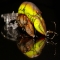 www.rebellures.com - Websites