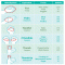 Portion Control - Fitness/Health