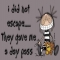 Crazy - Funny Pictures