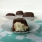 Chocolate Covered Cheesecakes