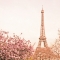 Eiffel Tower - Beautiful Photography