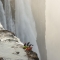 Kayak Victoria Falls, Zambia, Africa