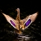 Beautiful Duck - Interesting Nature
