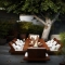 Backyard Zen - For the home